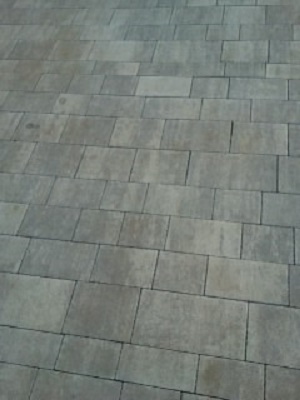 Brukmax: image 15 0f 135 thumb